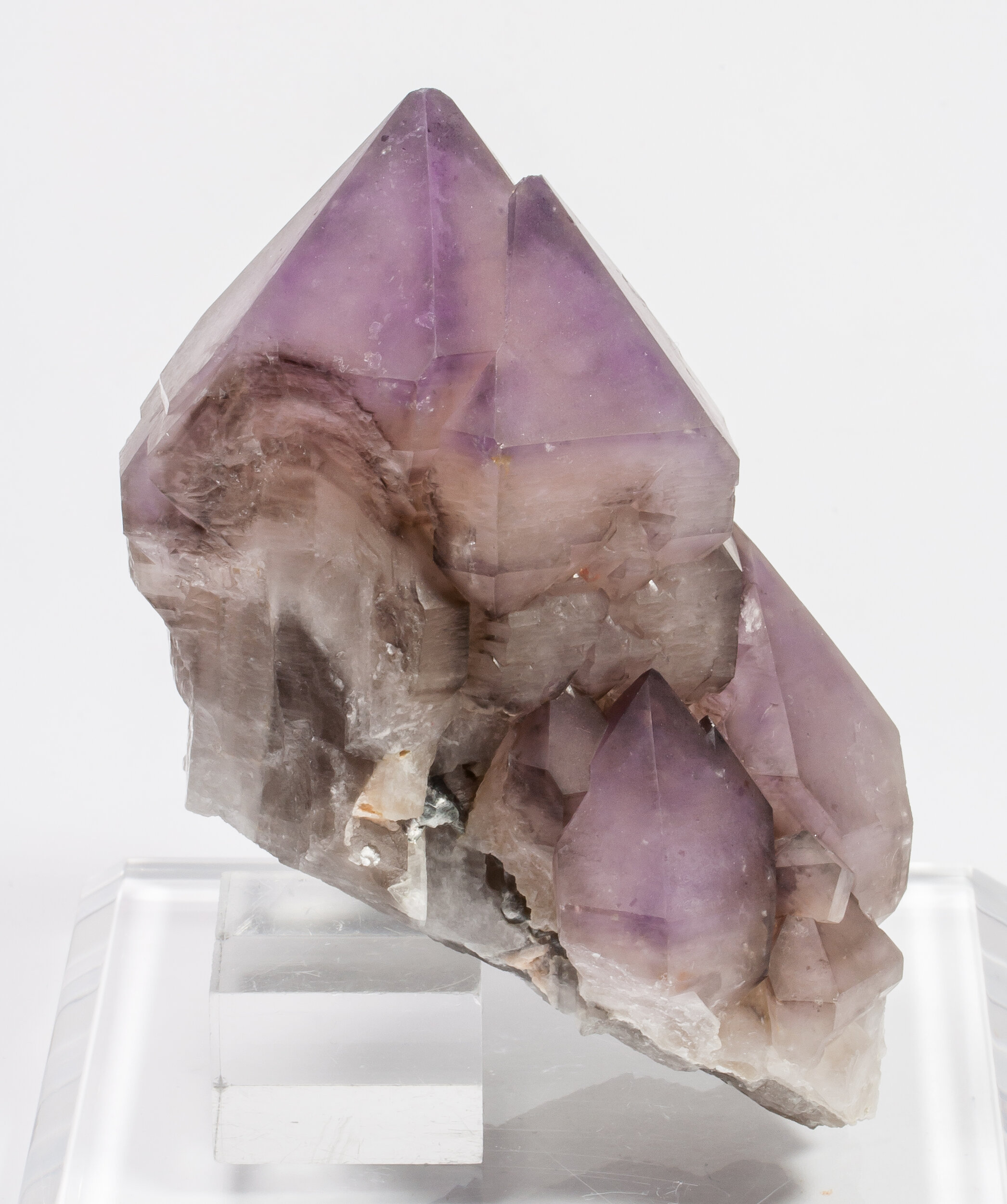 specimens/s_imagesAM7/Quartz_amethyst-TH98AM7r.jpg