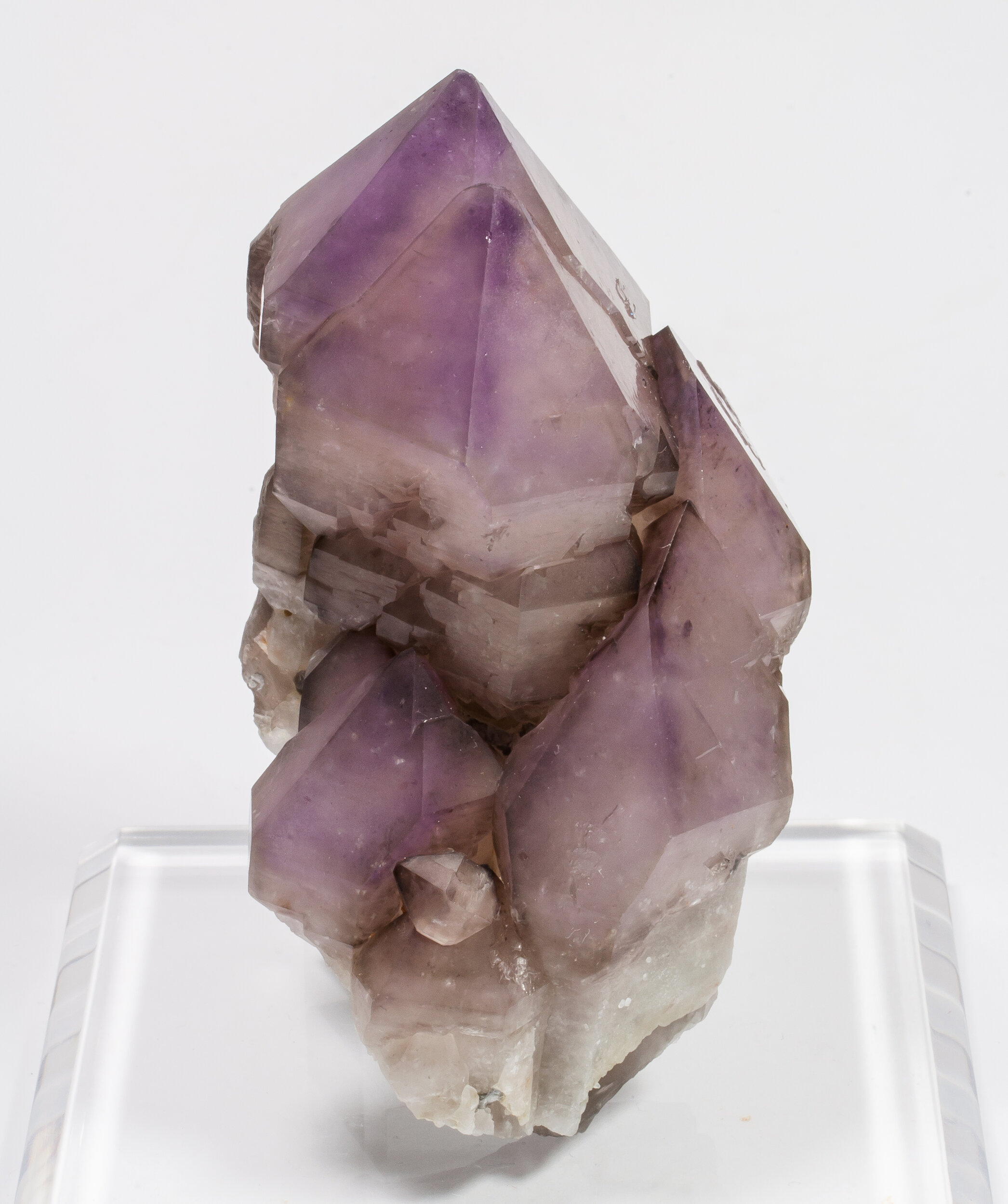 specimens/s_imagesAM7/Quartz_amethyst-TH98AM7s.jpg