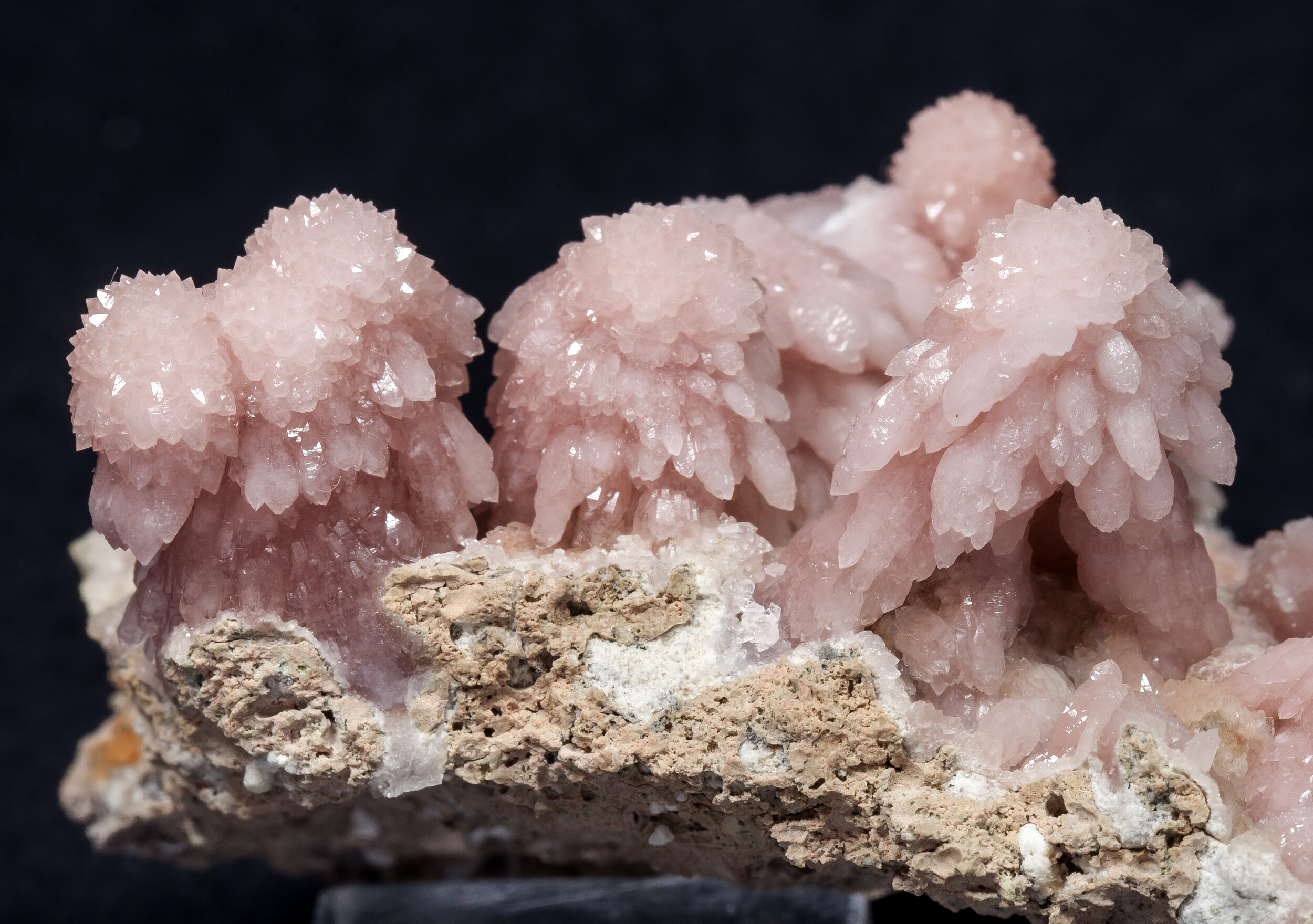 specimens/s_imagesAM7/Quartz_rose-EB86AM7d1.jpg