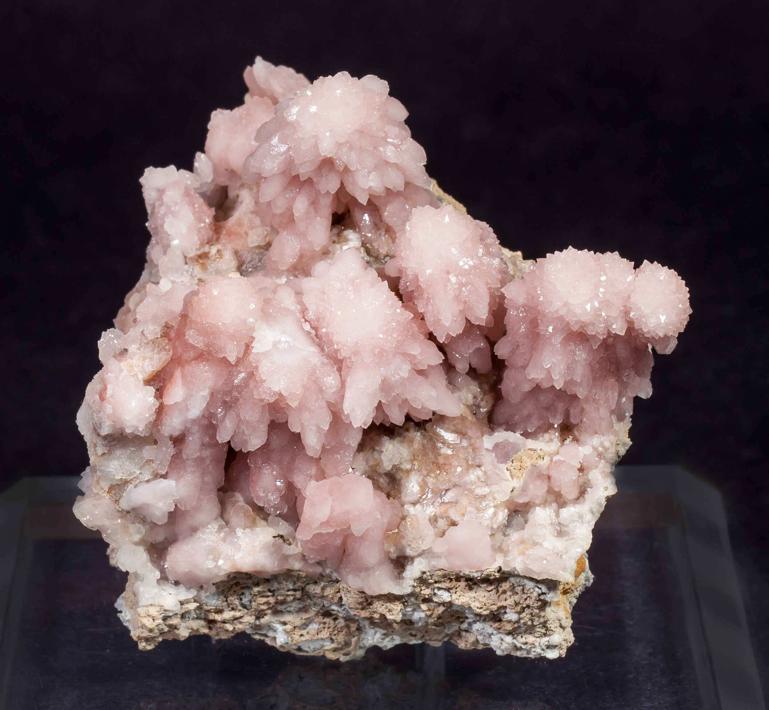 specimens/s_imagesAM7/Quartz_rose-EB86AM7f.jpg