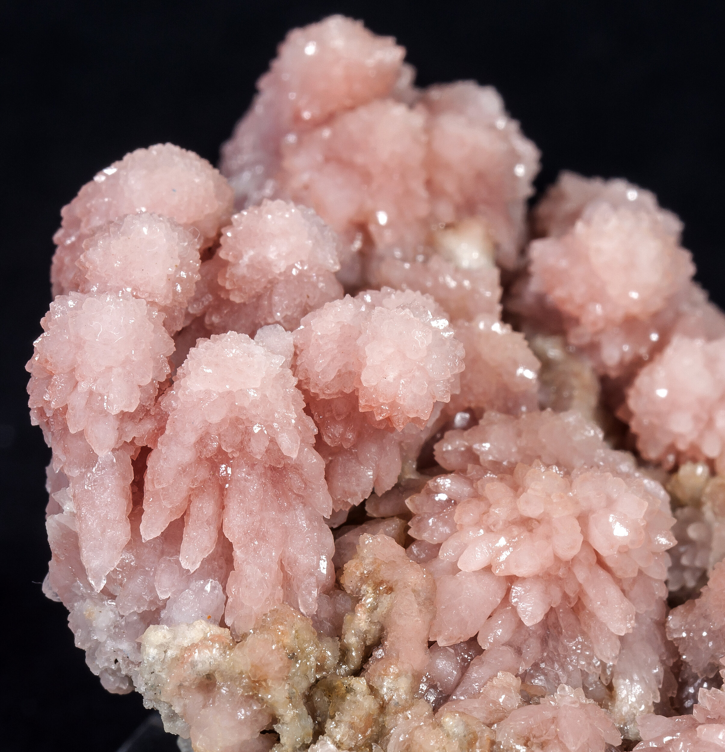 specimens/s_imagesAM7/Quartz_rose-EC96AM7d.jpg