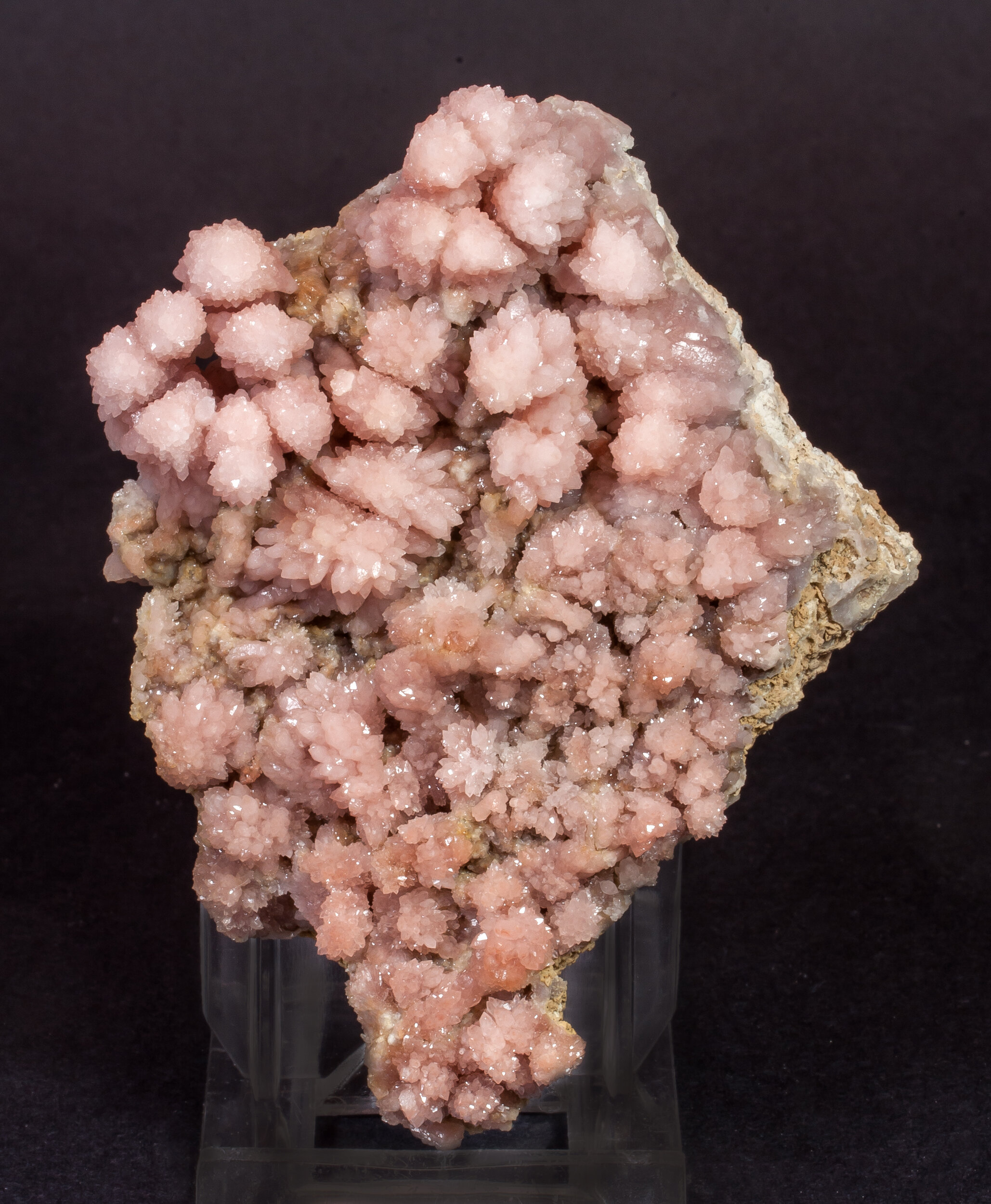 specimens/s_imagesAM7/Quartz_rose-EC96AM7f.jpg