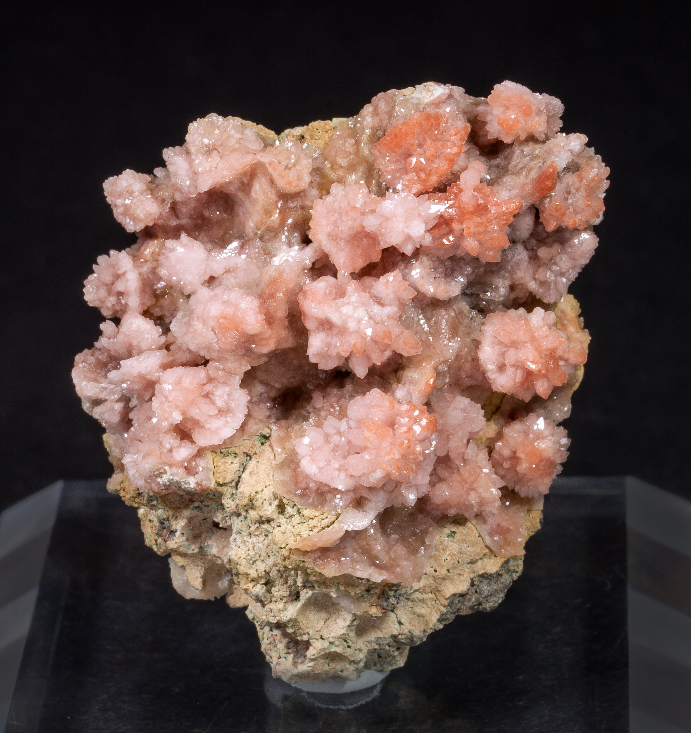 specimens/s_imagesAM7/Quartz_rose-MD14AM7f.jpg