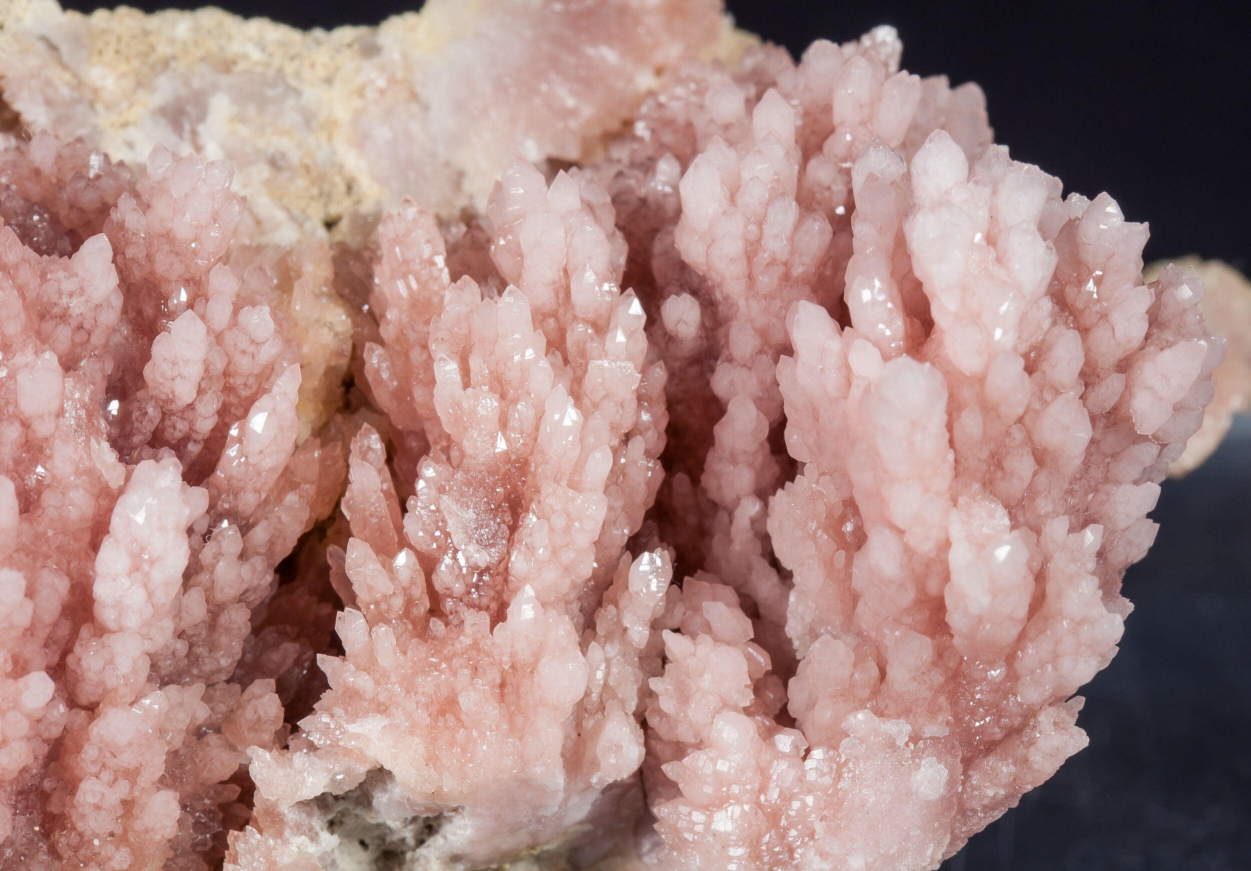 specimens/s_imagesAM7/Quartz_rose-MM67AM7d.jpg