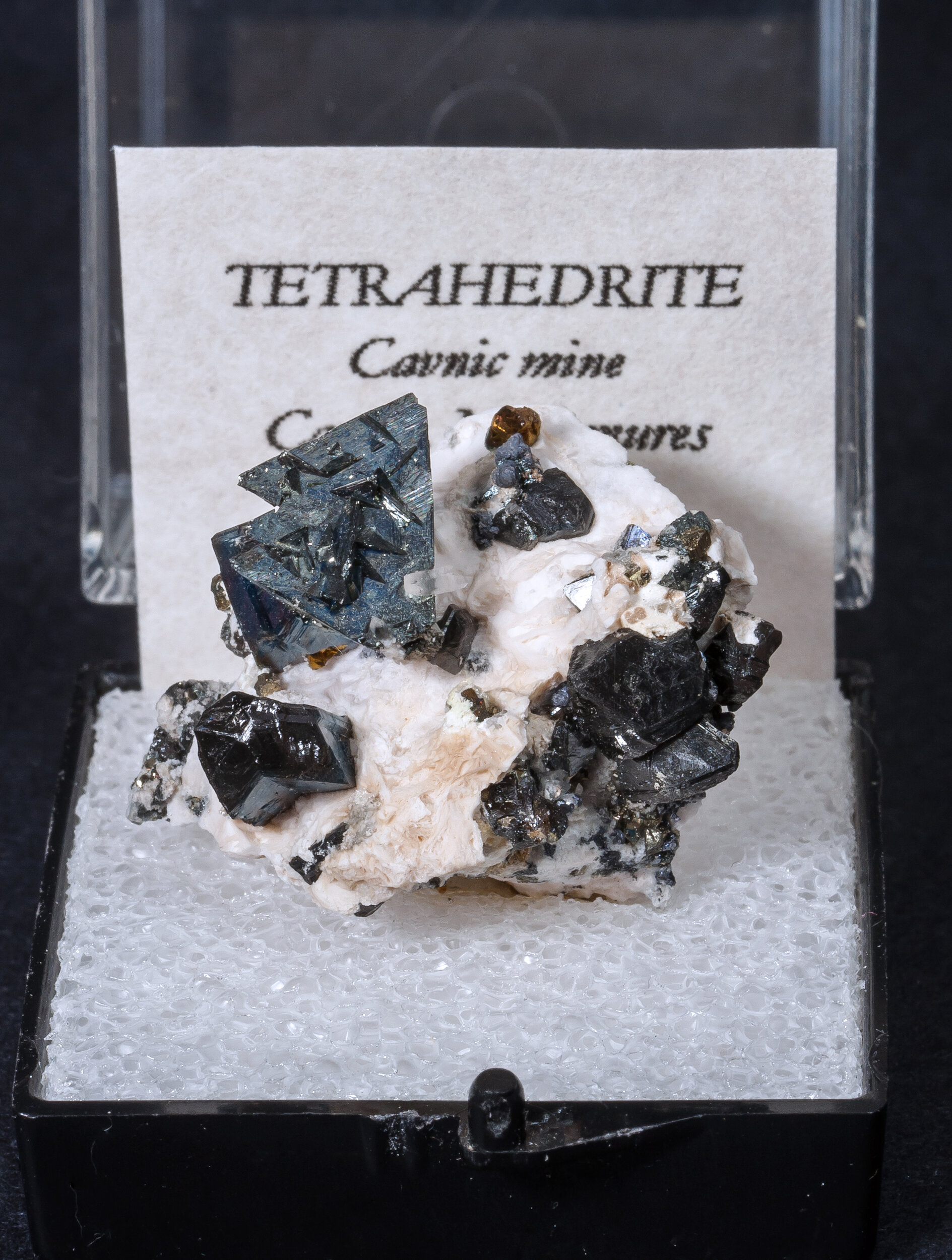 specimens/s_imagesAM7/Tetrahedrite-MR14AM7f1.jpg