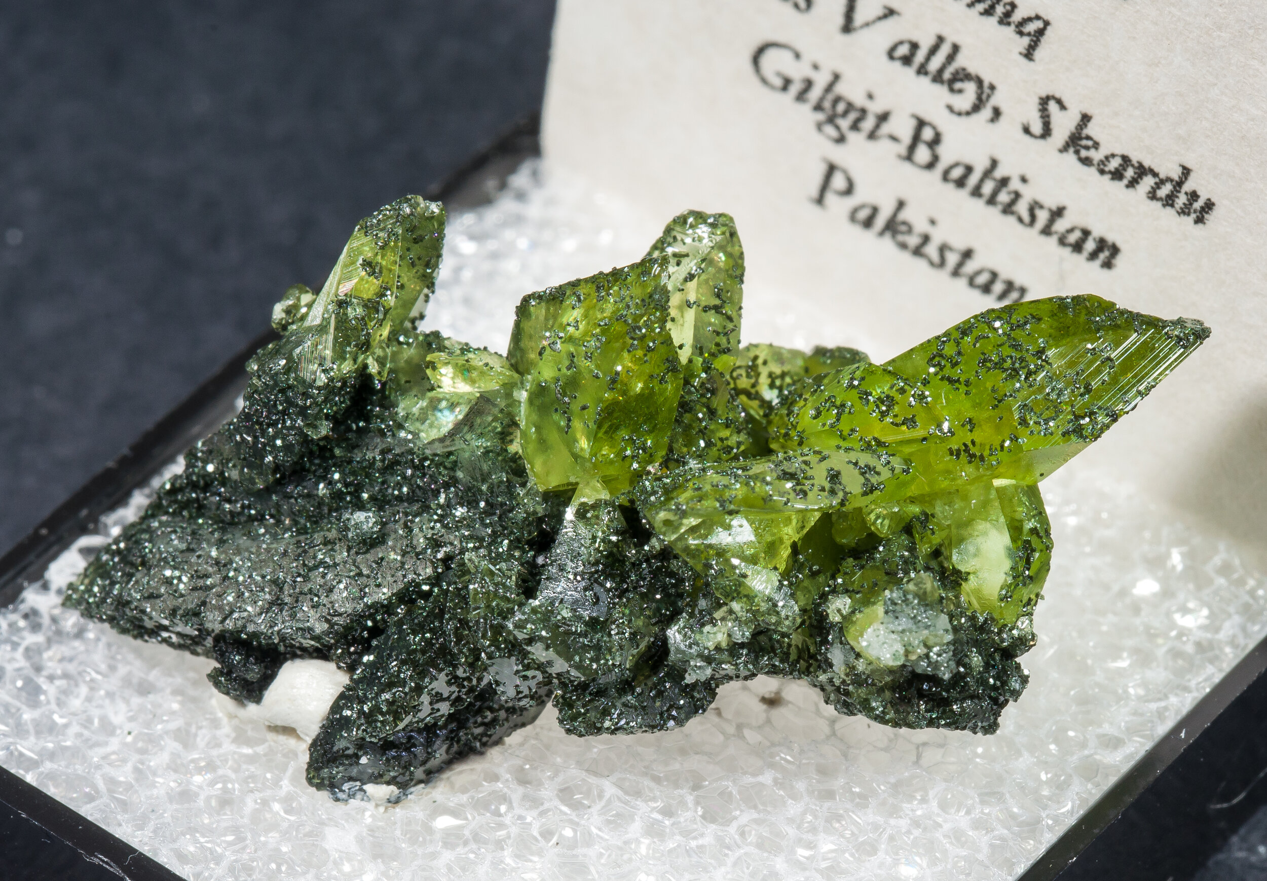 specimens/s_imagesAM7/Titanite-MN26AM7s.jpg