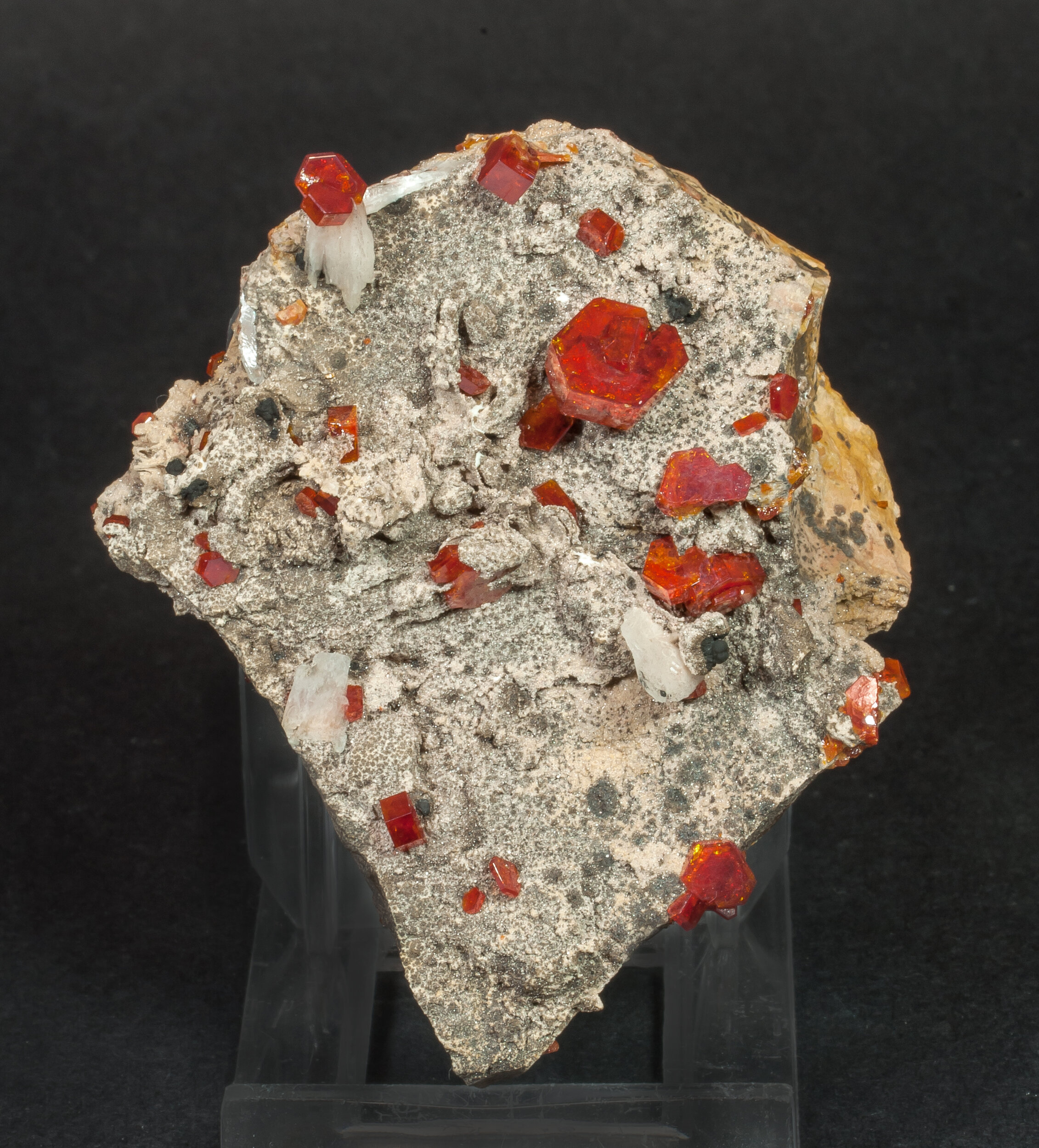 specimens/s_imagesAM7/Vanadinite-AA96AM7f.jpg