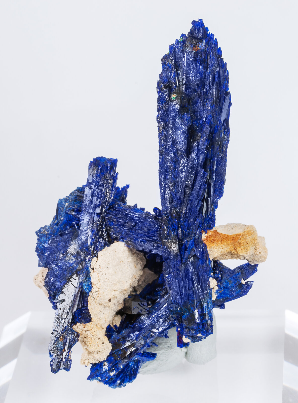 specimens/s_imagesAM8/Azurite-TM66AM8f.jpg