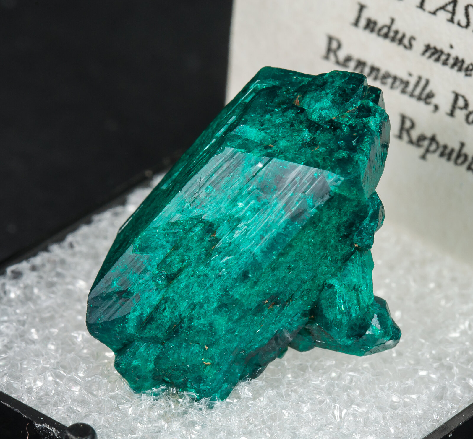 specimens/s_imagesAM8/Dioptase-ML6AM8s.jpg