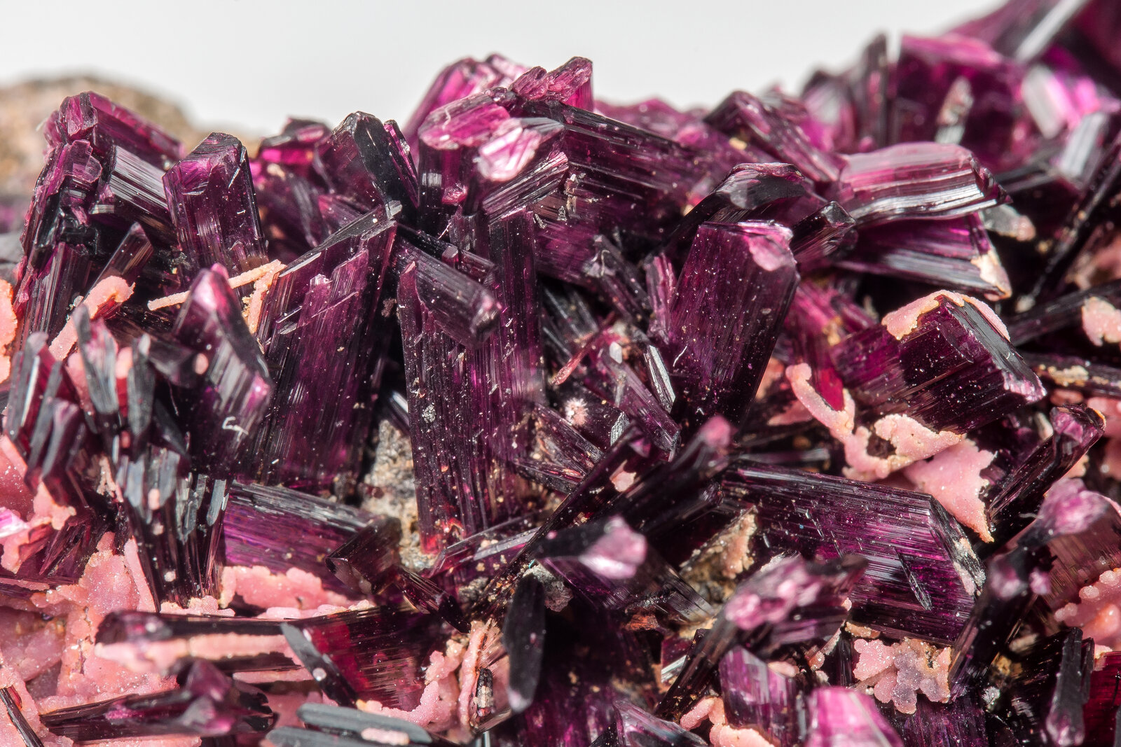 specimens/s_imagesAM8/Erythrite-TT14AM8d.jpg