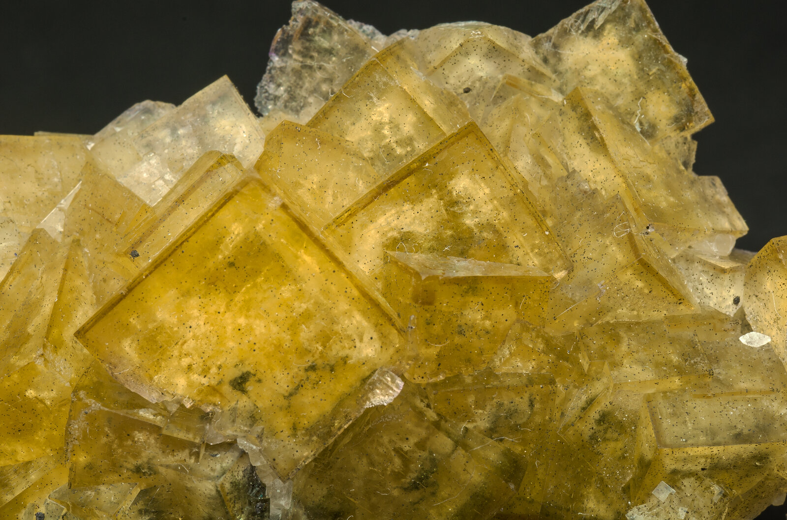 specimens/s_imagesAM8/Fluorite-NA13AM8d.jpg