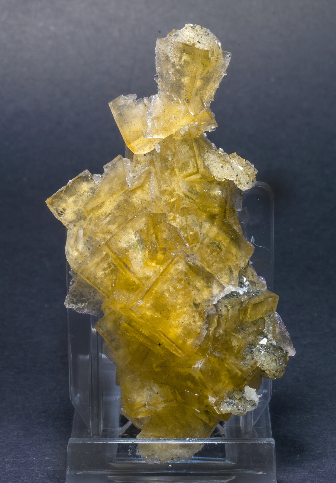 specimens/s_imagesAM8/Fluorite-NA13AM8f.jpg