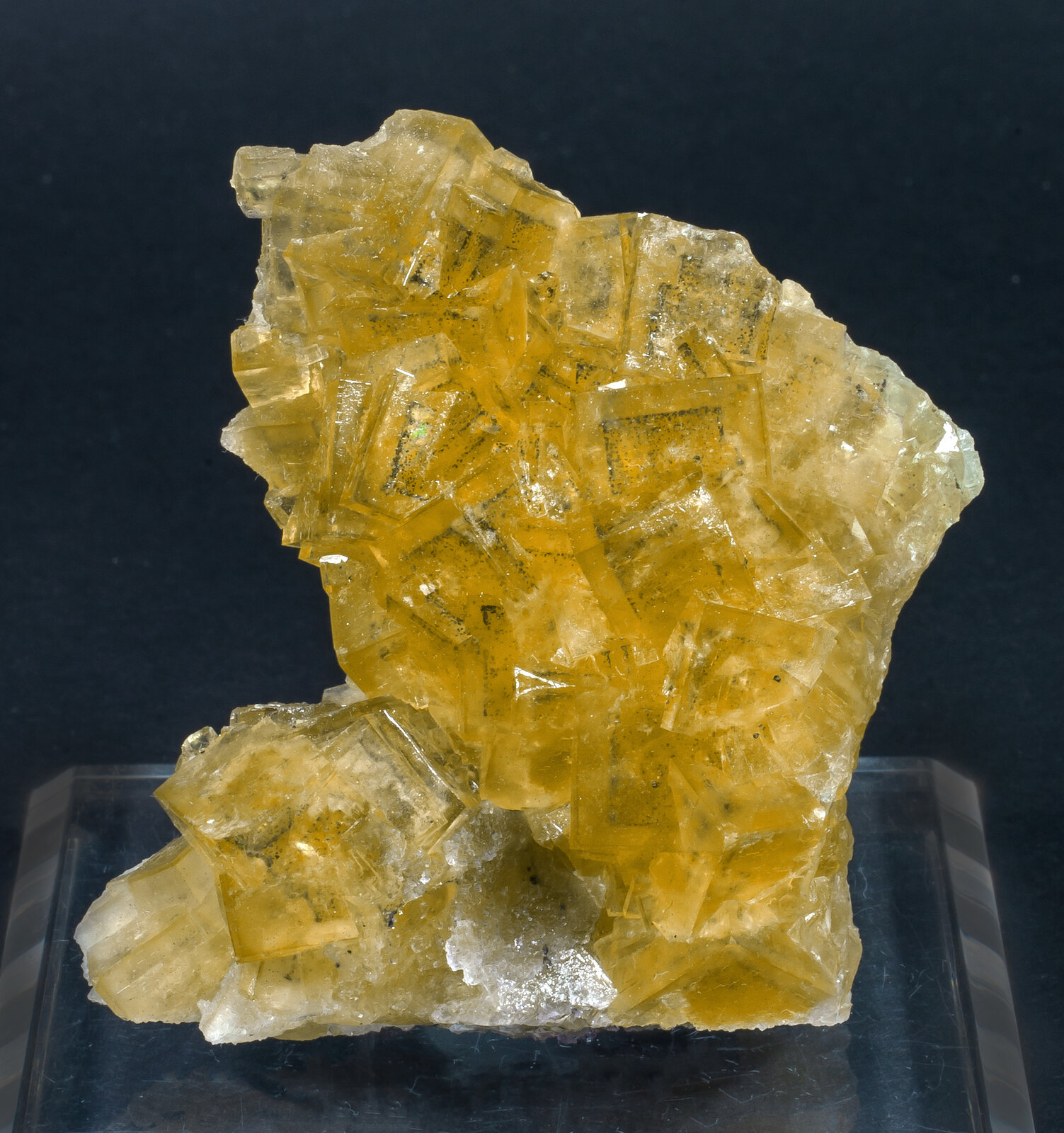 specimens/s_imagesAM8/Fluorite-NB12AM8f.jpg
