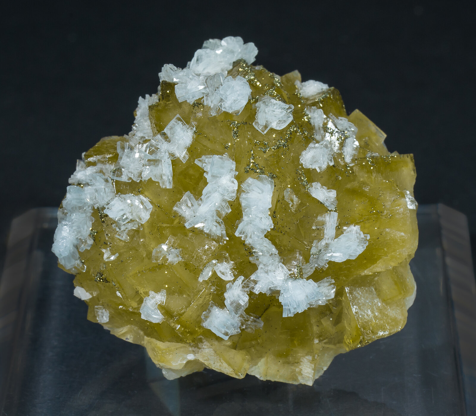 specimens/s_imagesAM8/Fluorite-NC11AM8f.jpg