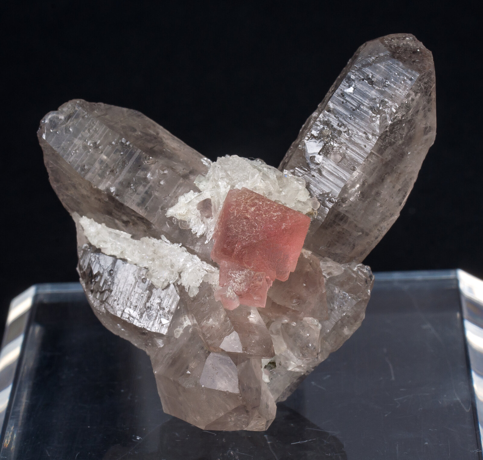 specimens/s_imagesAM8/Fluorite-TR92AM8s.jpg