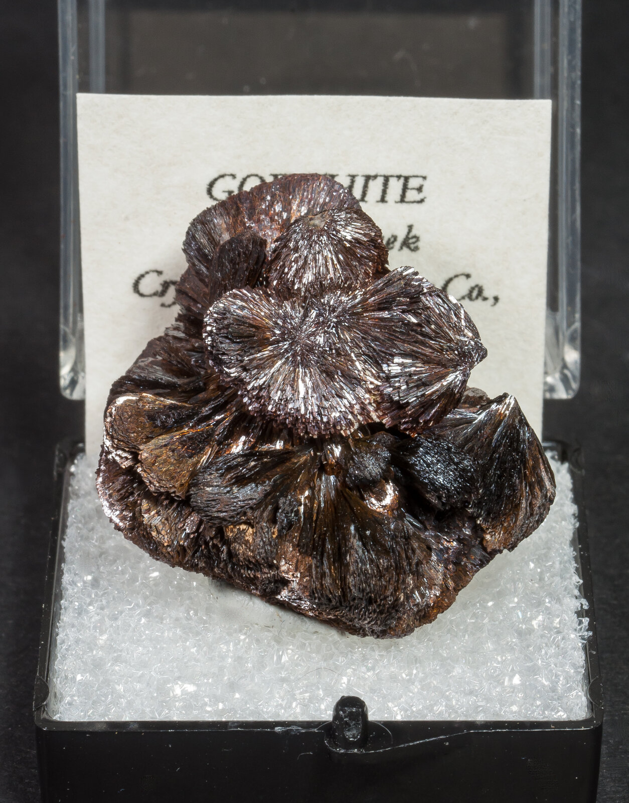 specimens/s_imagesAM8/Goethite-MC12AM8f.jpg