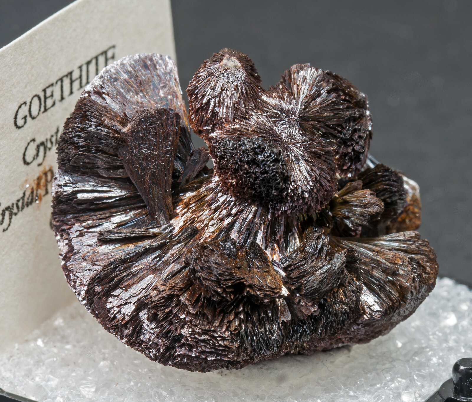 specimens/s_imagesAM8/Goethite-MC12AM8s.jpg