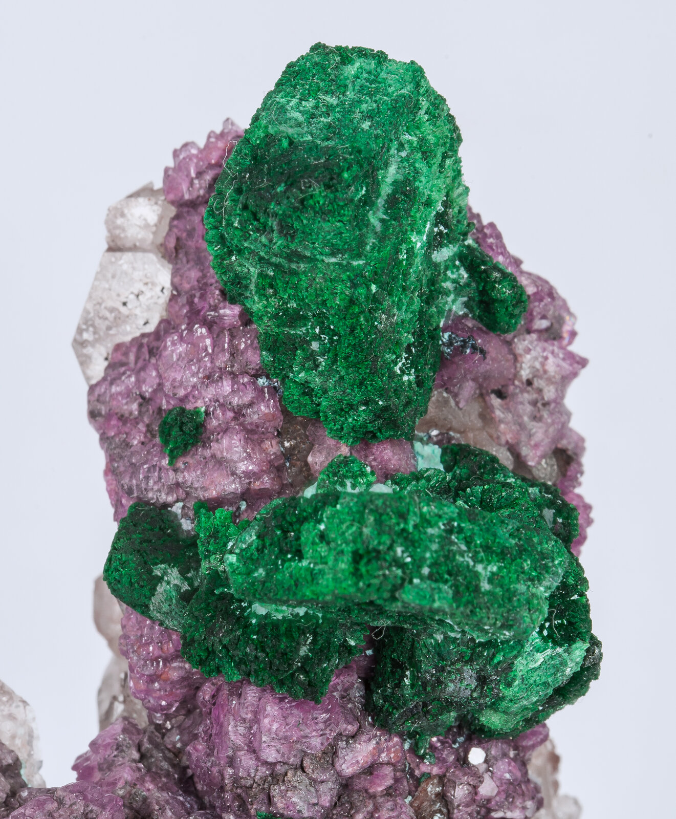 specimens/s_imagesAM8/Malachite-TZ91AM8d1.jpg