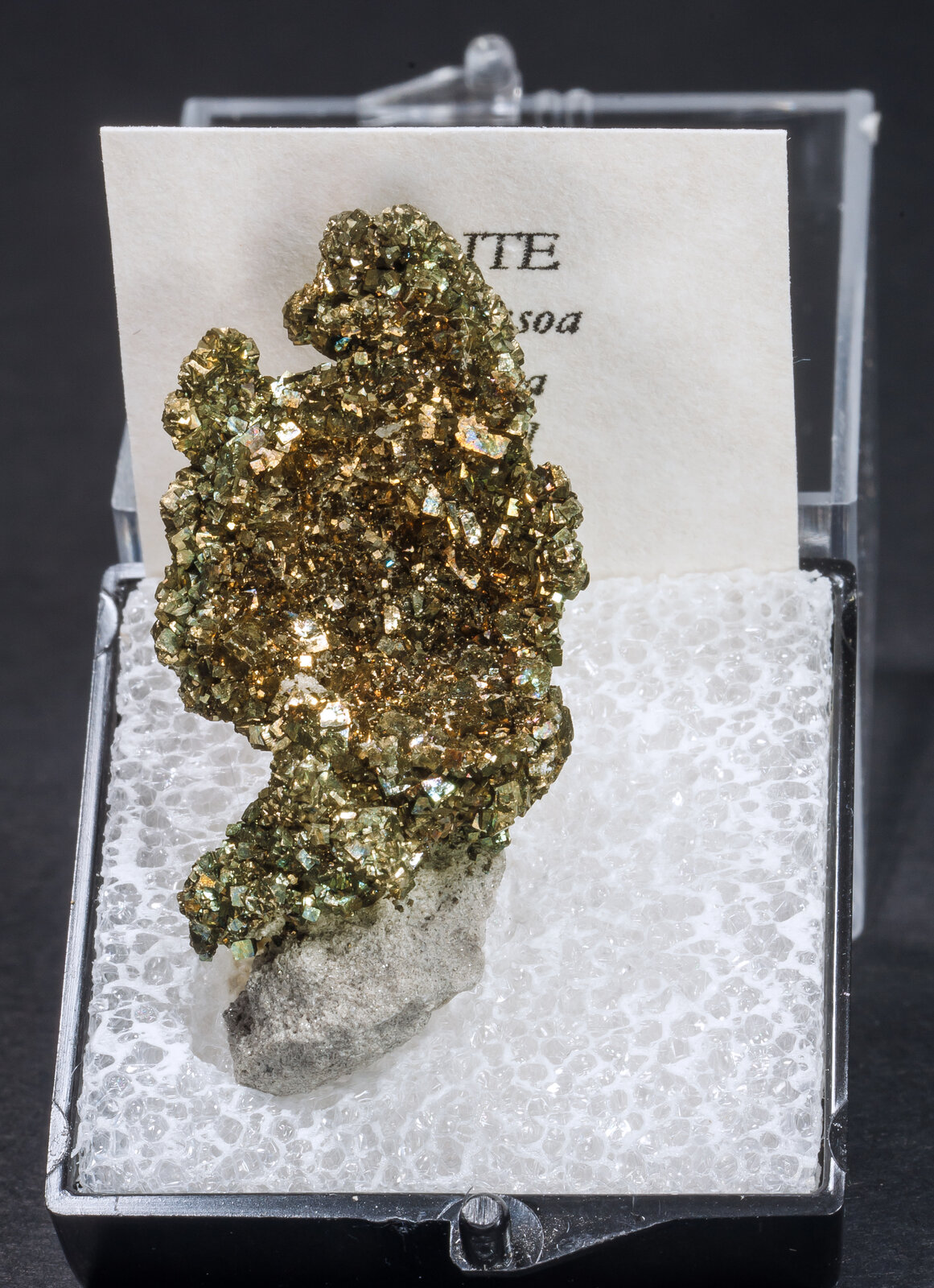 specimens/s_imagesAM8/Pyrite-MP12AM8f1.jpg