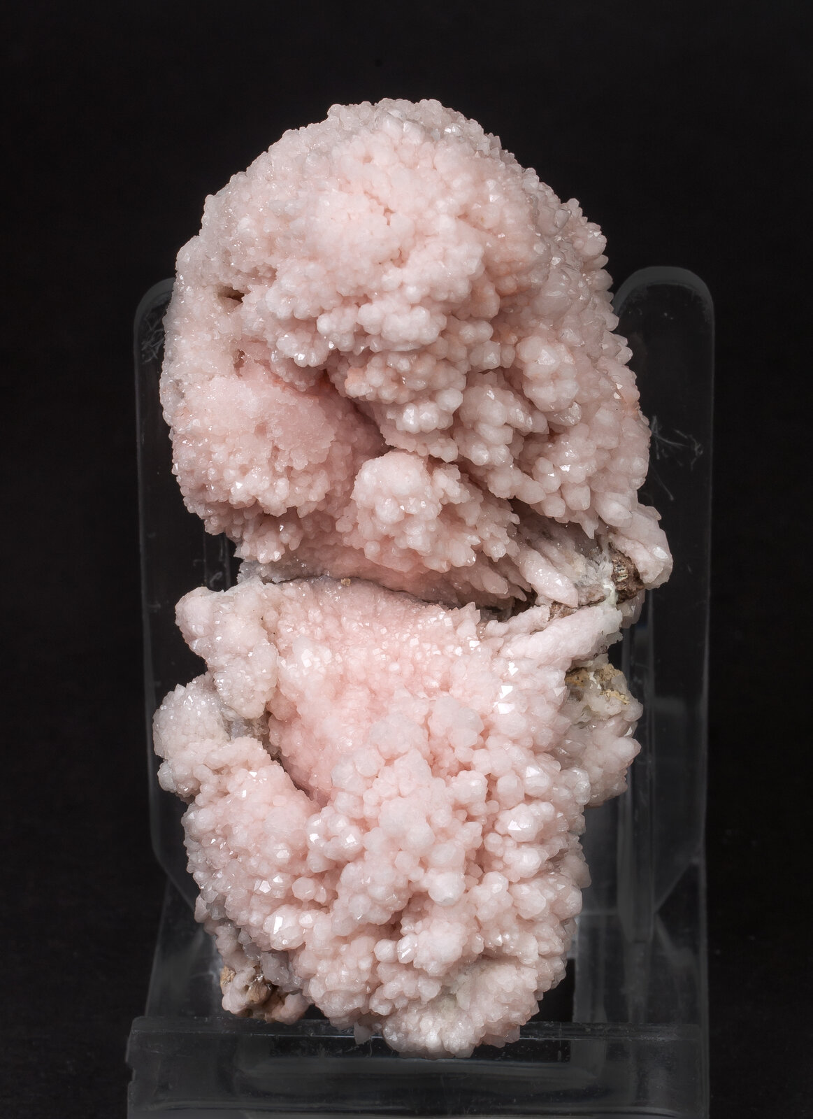 specimens/s_imagesAM8/Quartz_rose-MC27AM8s.jpg