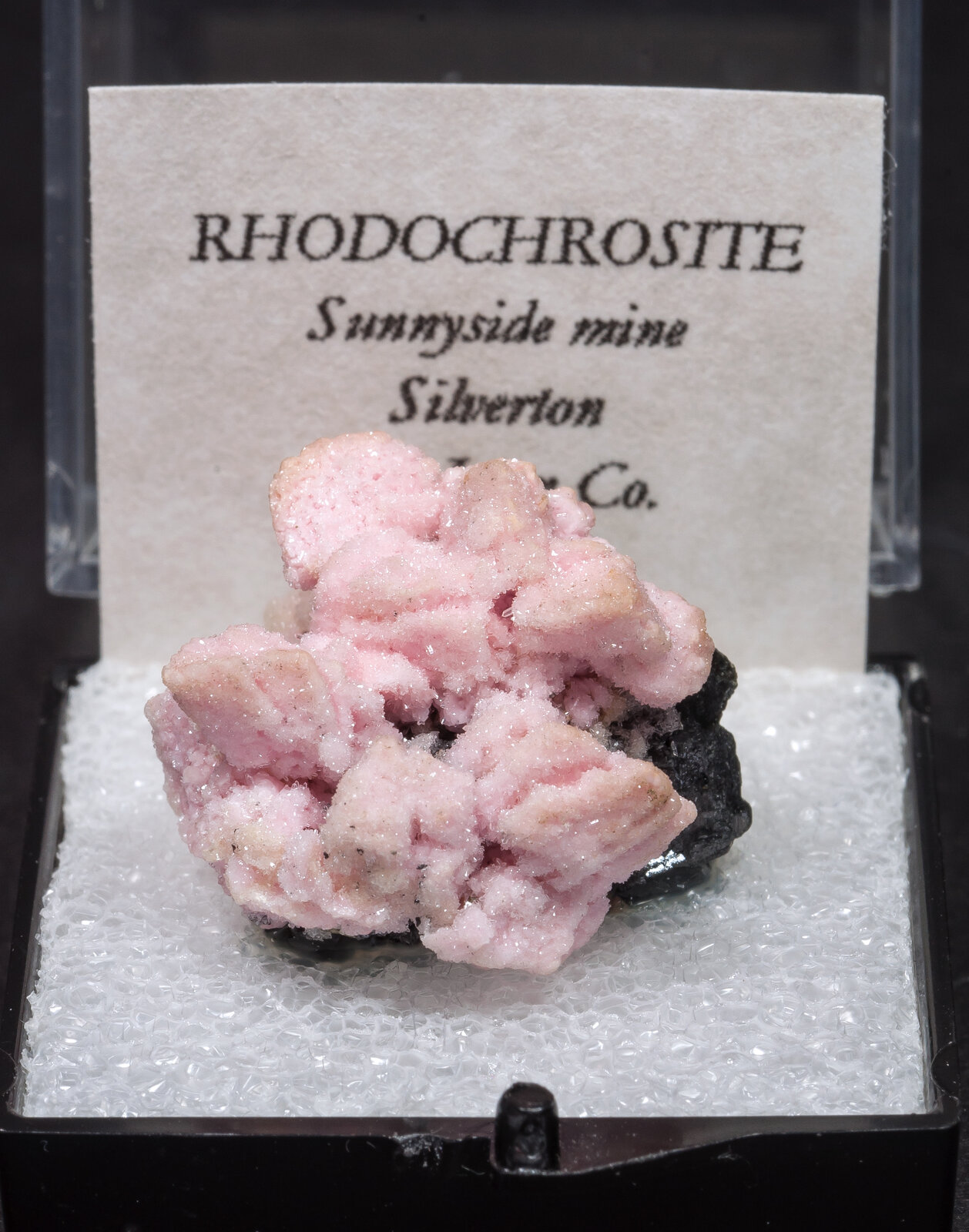 specimens/s_imagesAM8/Rhodochrosite-MB26AM8f1.jpg