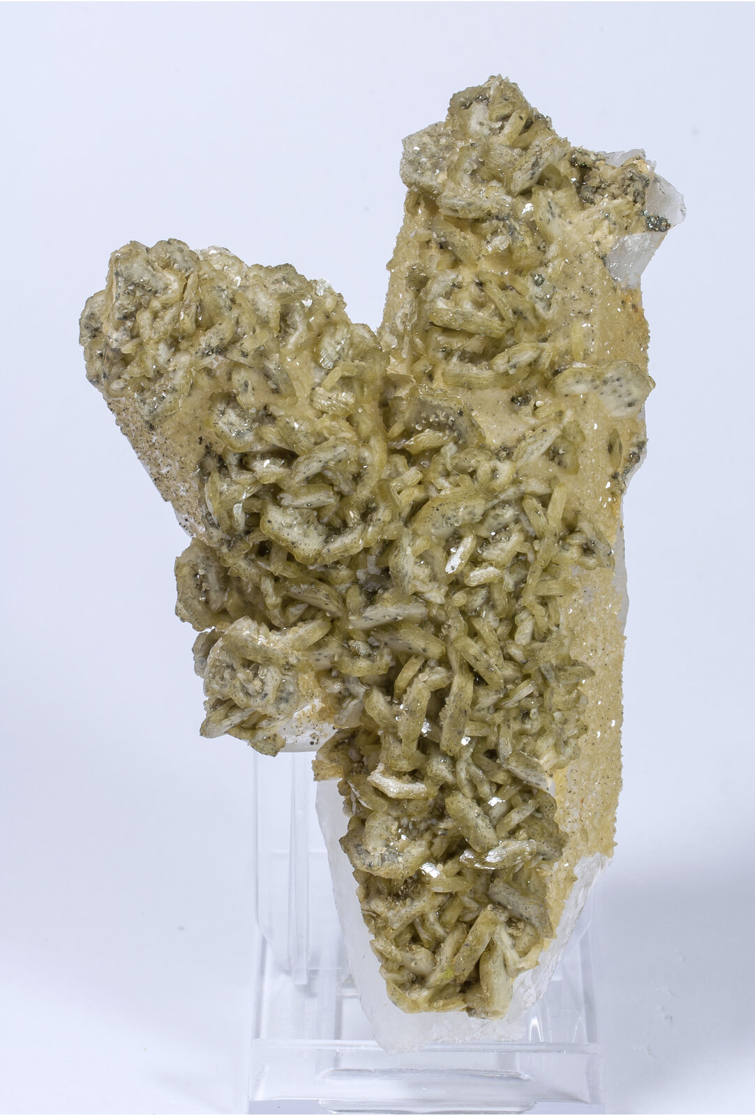 specimens/s_imagesAM8/Siderite-NW27AM8f.jpg