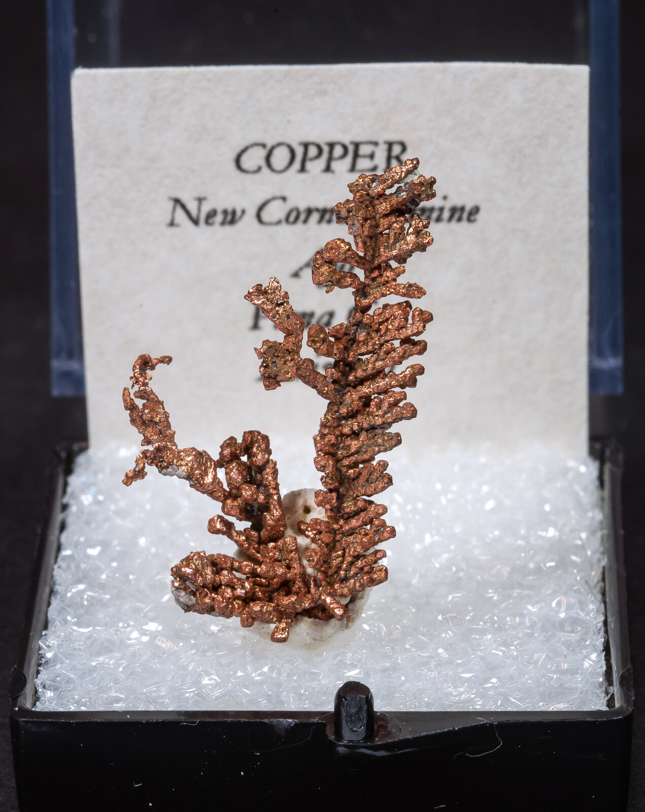 specimens/s_imagesAM9/Copper-MF46AM9f1.jpg