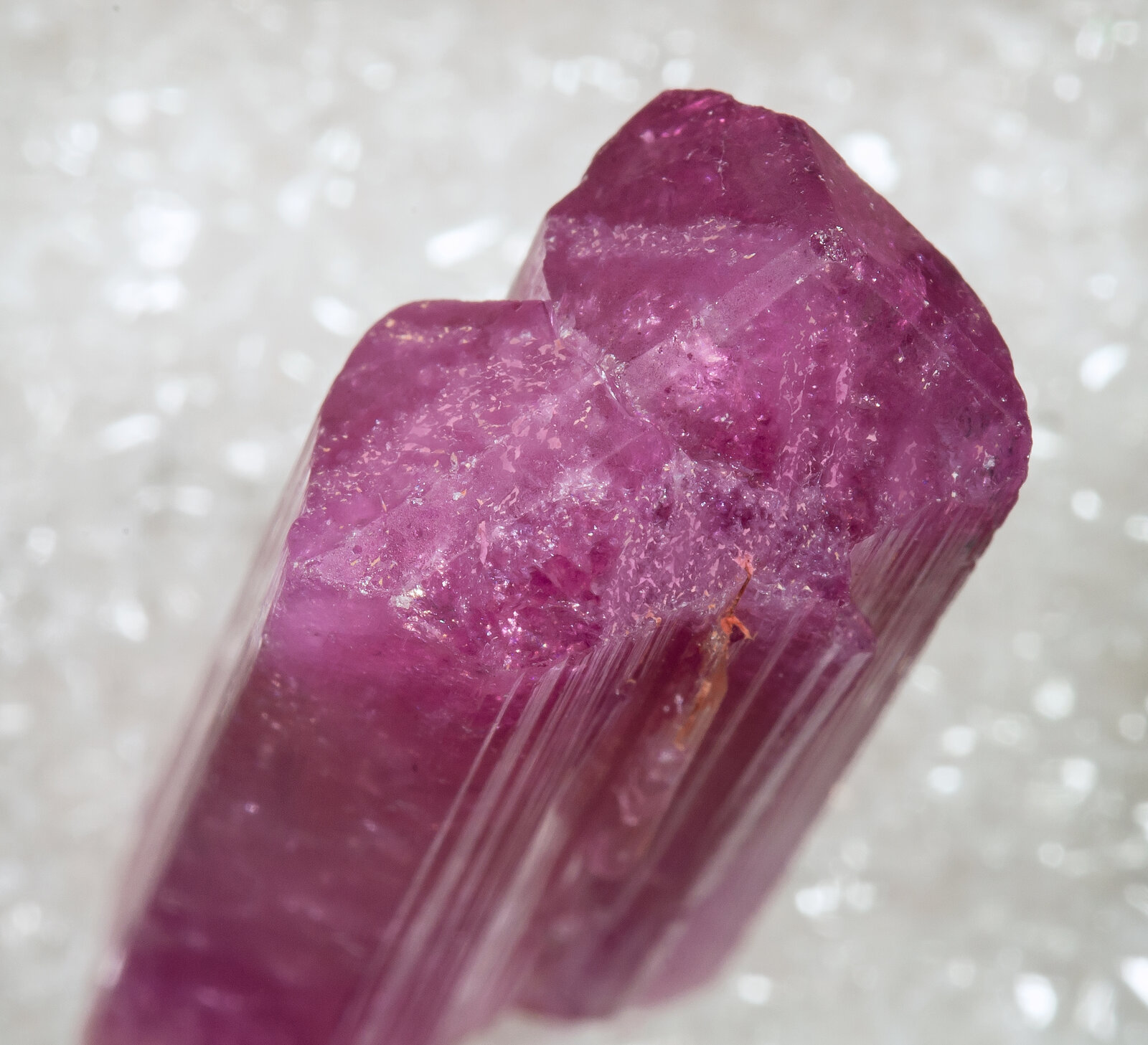 specimens/s_imagesAM9/Elbaite-MF86AM9t.jpg