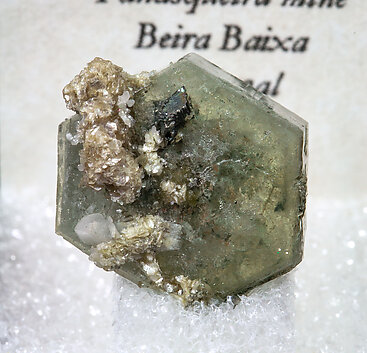 Fluorapatite with Arsenopyrite and Muscovite. Front