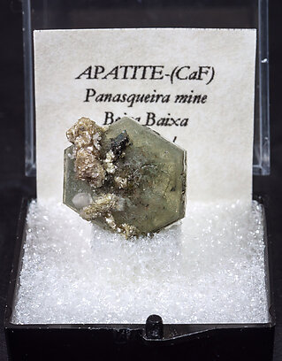 Fluorapatite with Arsenopyrite and Muscovite.