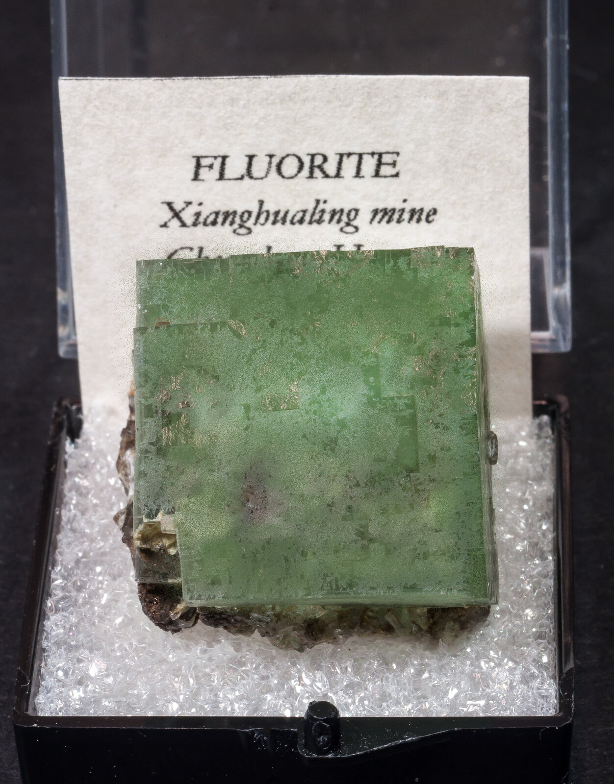 specimens/s_imagesAM9/Fluorite-MG16AM9f.jpg