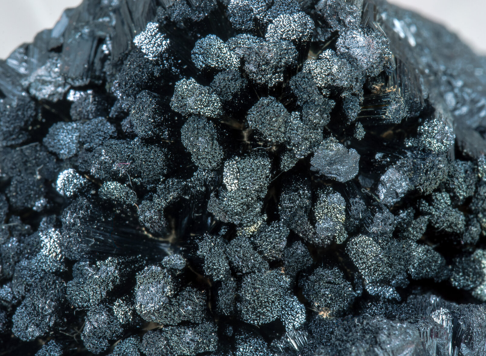 specimens/s_imagesAM9/Goethite-TP56AM9d.jpg