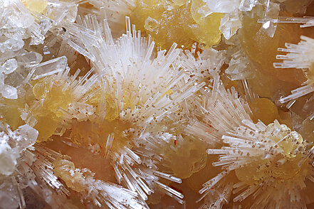 Hydroboracite with Celestine and Calcite. Detail / Photo: Joaquim Calln