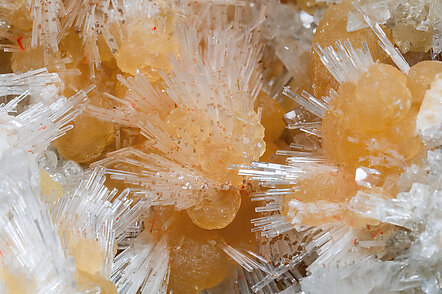 Hydroboracite with Celestine and Calcite. Detail