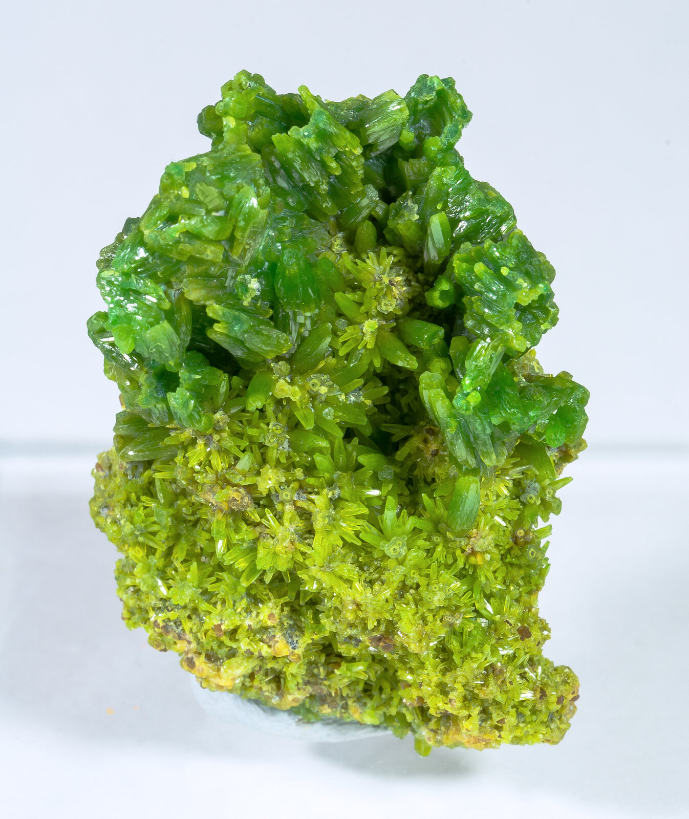 specimens/s_imagesAM9/Pyromorphite-TP36AM9f.jpg