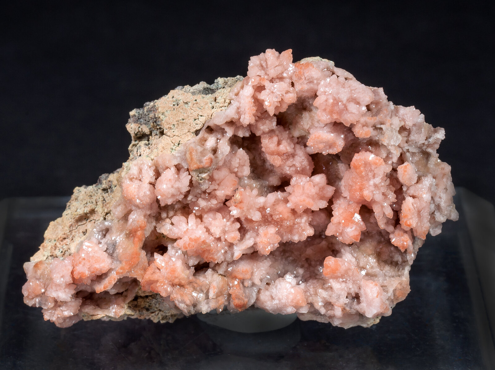 specimens/s_imagesAM9/Quartz_rose-MC11AM9f.jpg