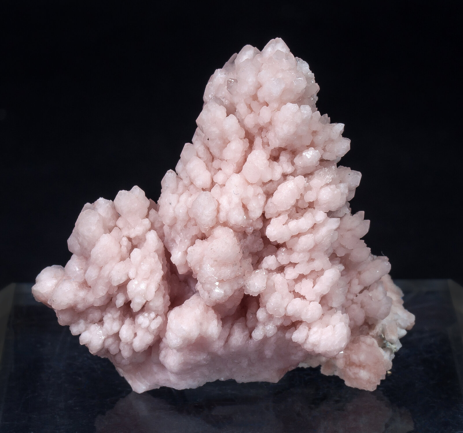 specimens/s_imagesAM9/Quartz_rose-MF11AM9f.jpg