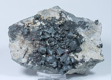 Acanthite with Siderite and Proustite.