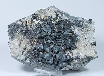 Acanthite with Siderite and Proustite. 