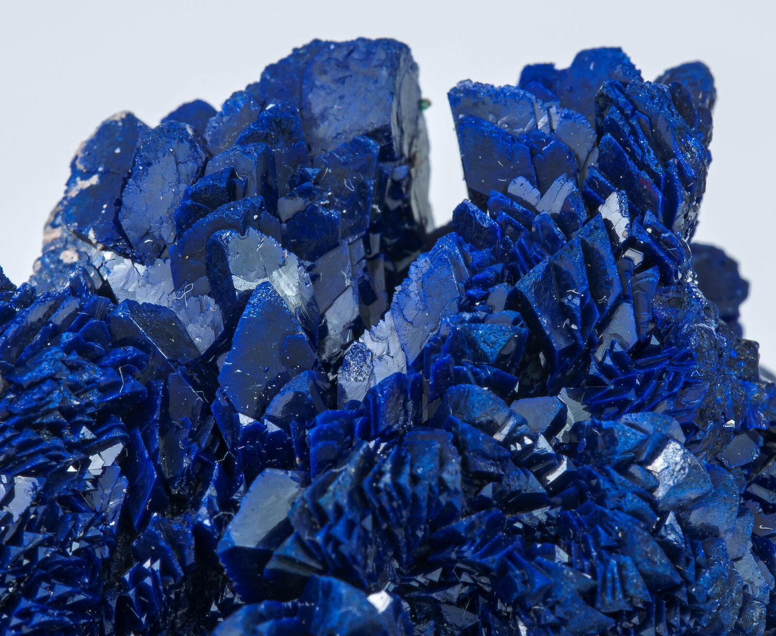 specimens/s_imagesAN0/Azurite-TM27AN0d.jpg