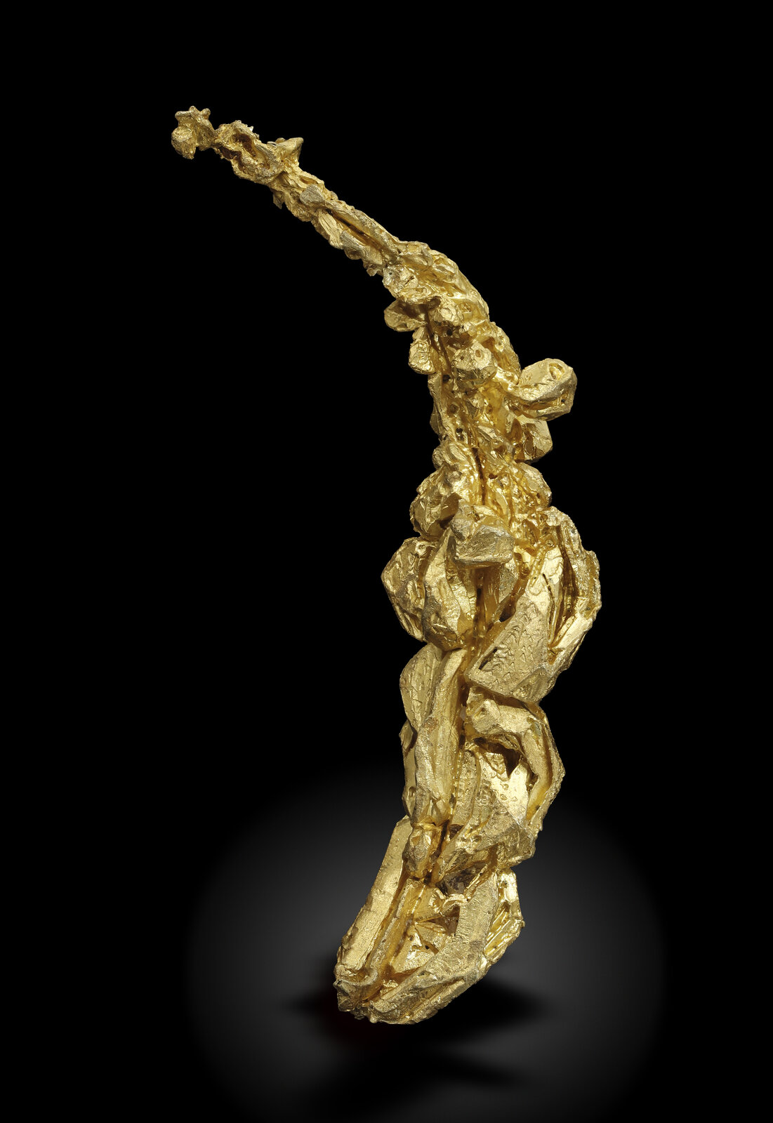 specimens/s_imagesAN0/Gold-TD94AN0_4739_r.jpg