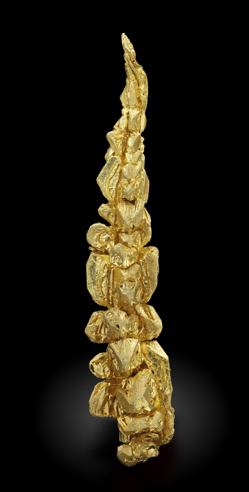 specimens/s_imagesAN0/Gold-TE16AN0_4760_f.jpg