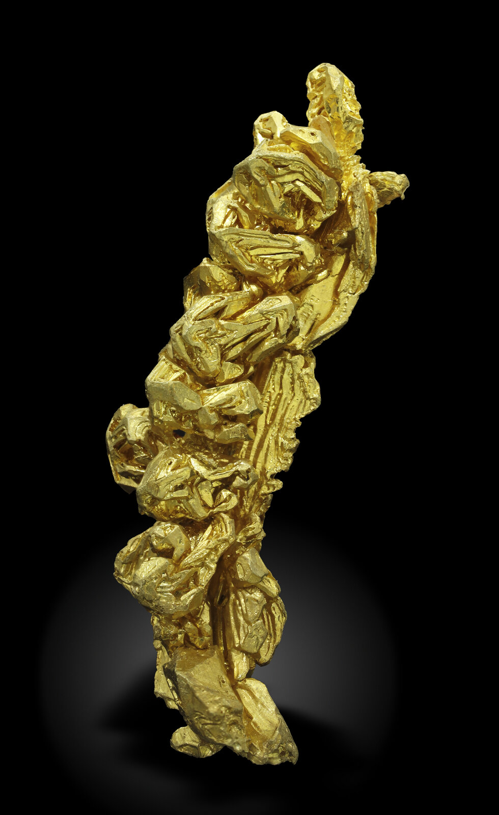 specimens/s_imagesAN0/Gold-TF96AN0_4842_f.jpg