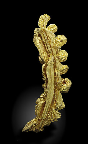 Gold (spinel twin). Rear / Photo: Joaquim Calln