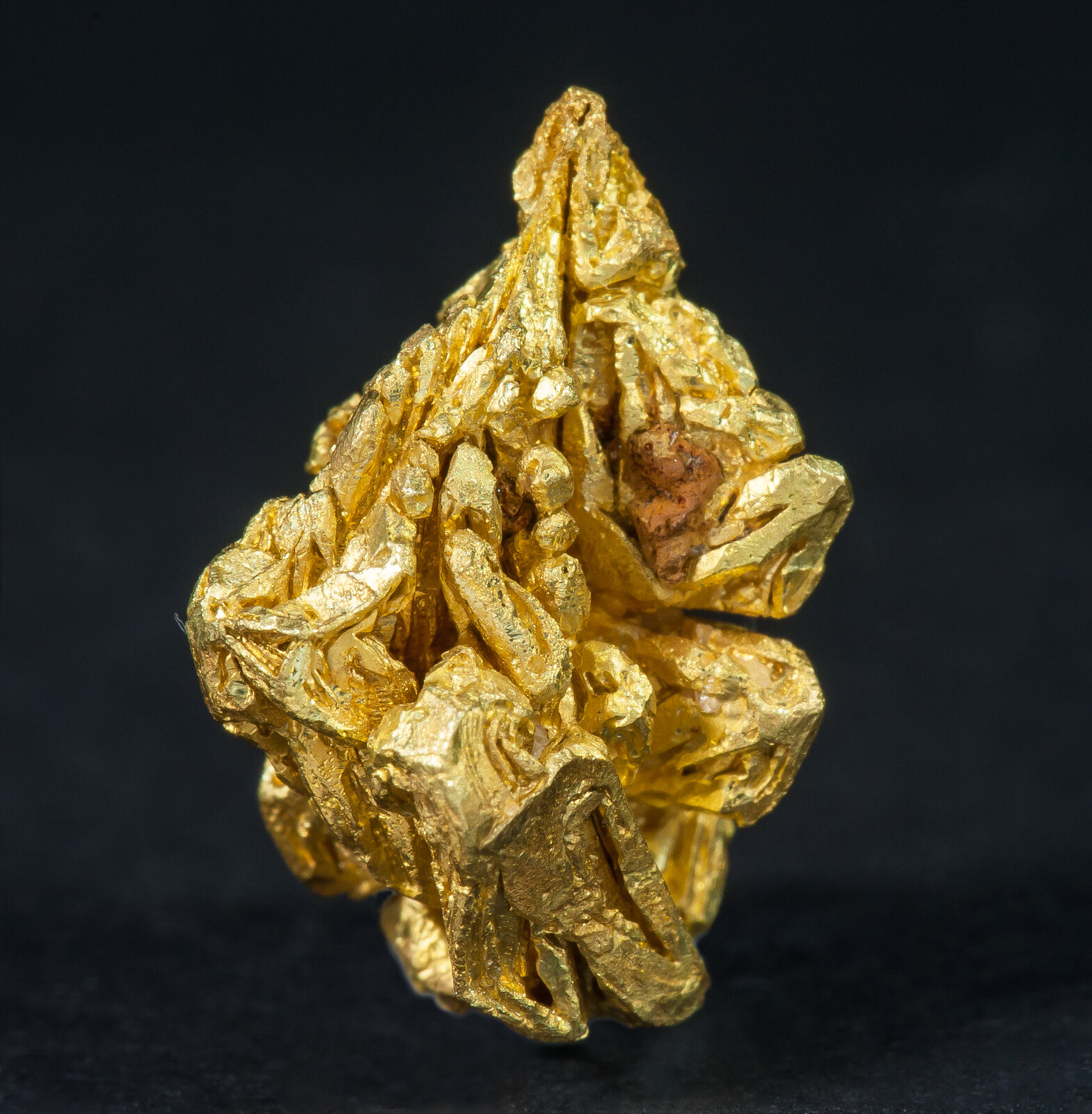 specimens/s_imagesAN0/Gold-TX67AN0f.jpg