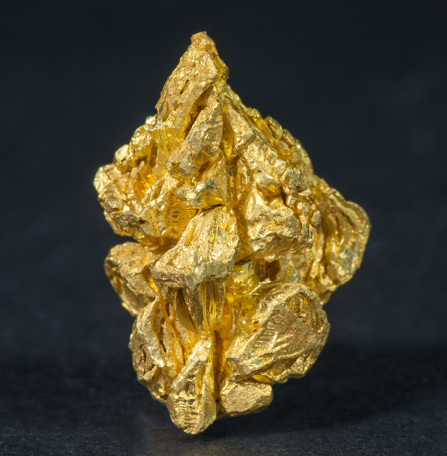 specimens/s_imagesAN0/Gold-TX67AN0r.jpg