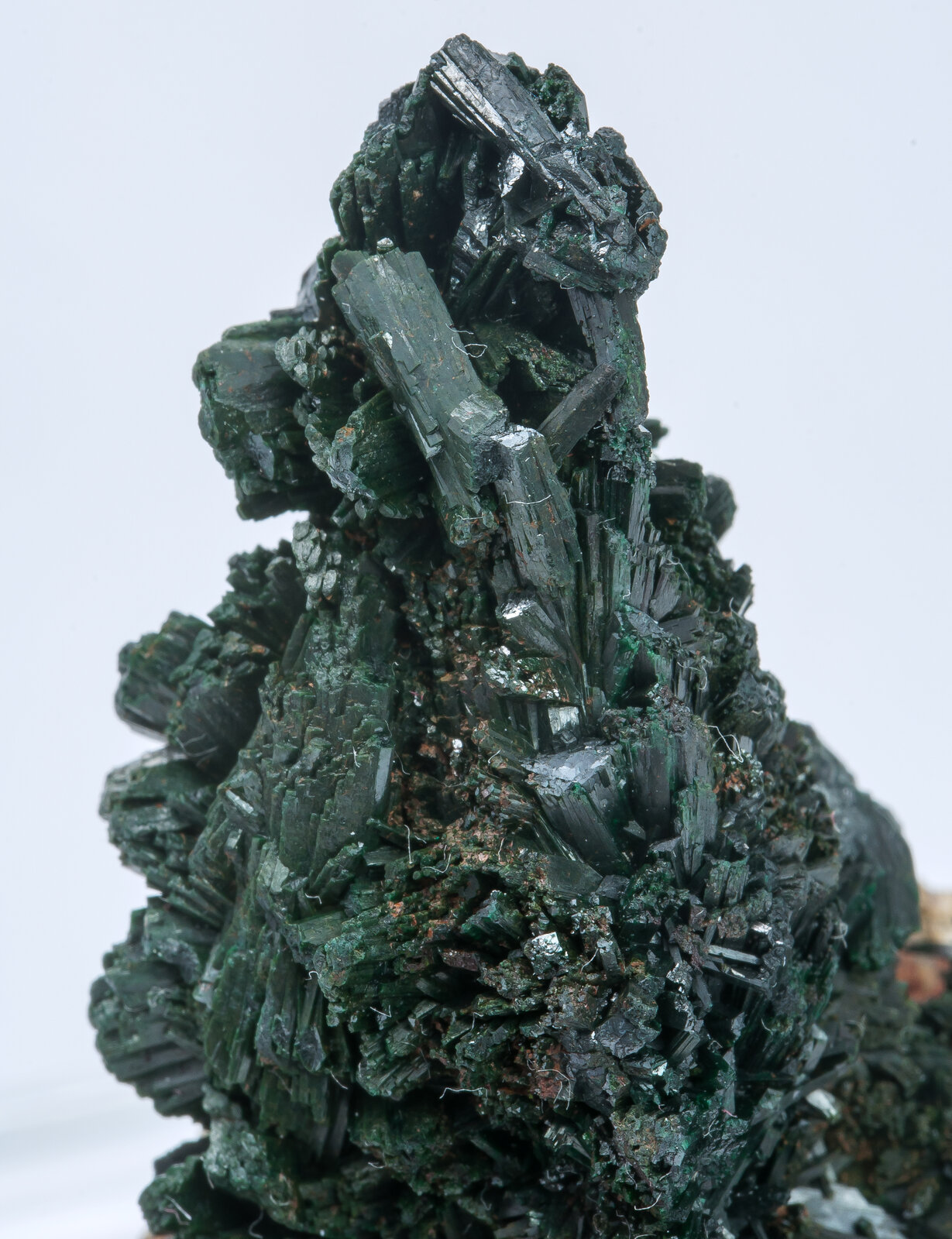 specimens/s_imagesAN0/Malachite-TM66AN0d.jpg