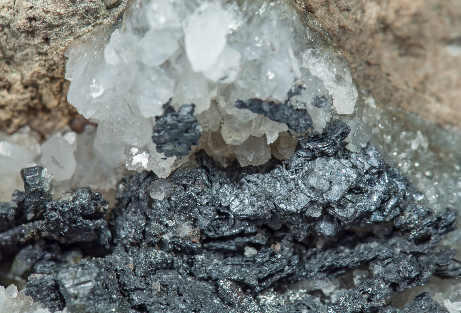 specimens/s_imagesAN0/Nagyagite-NP46AN0d2.jpg
