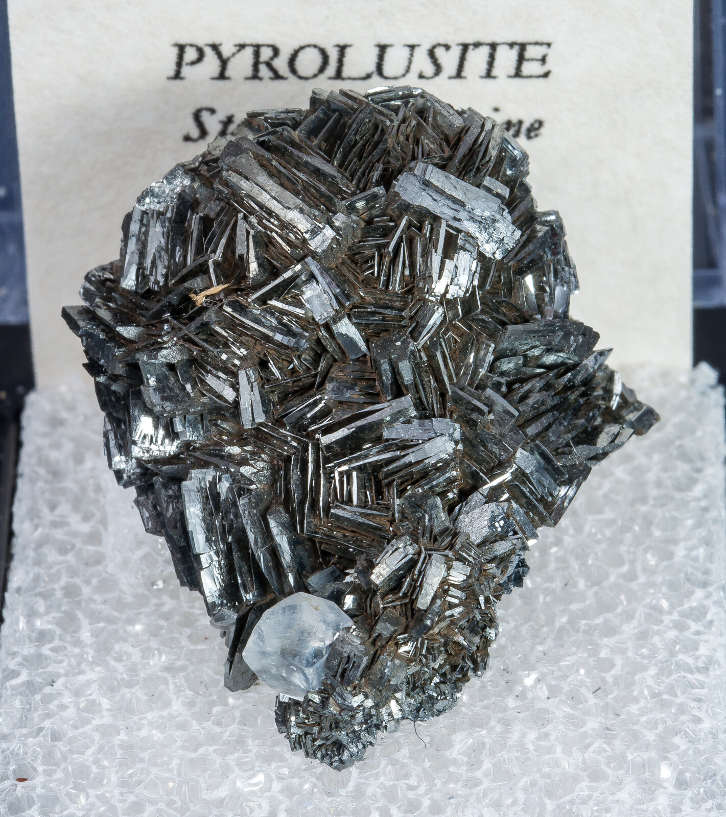 specimens/s_imagesAN0/Pyrolusite-MD14AN0f2.jpg