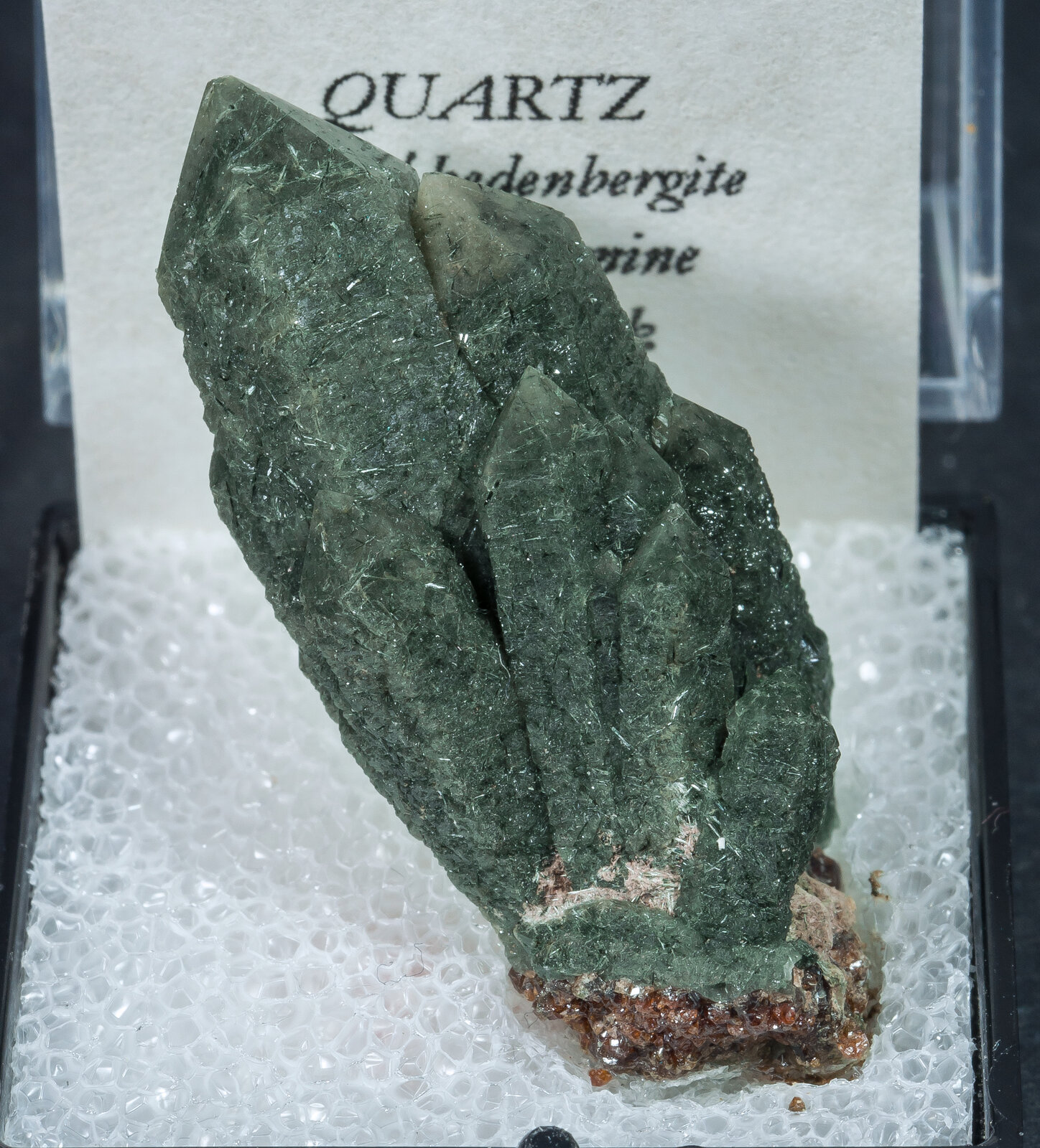 specimens/s_imagesAN0/Quartz_prase-ML16AN0f2.jpg